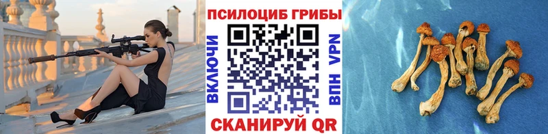 Псилоцибиновые грибы Magic Shrooms  наркотики  гидра маркетплейс  Южно-Сухокумск 